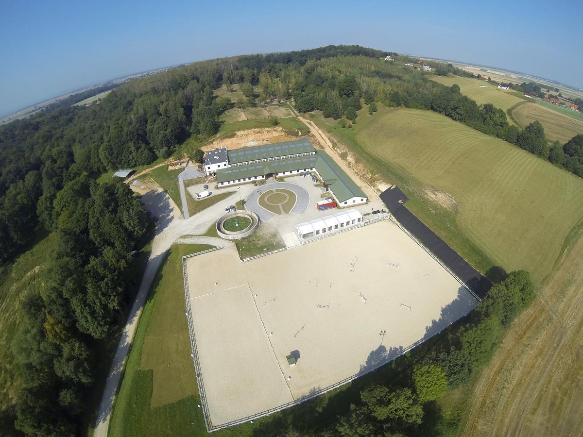 Hotel Restauracja Bialy Las Wierzbna Zarow Exteriör bild